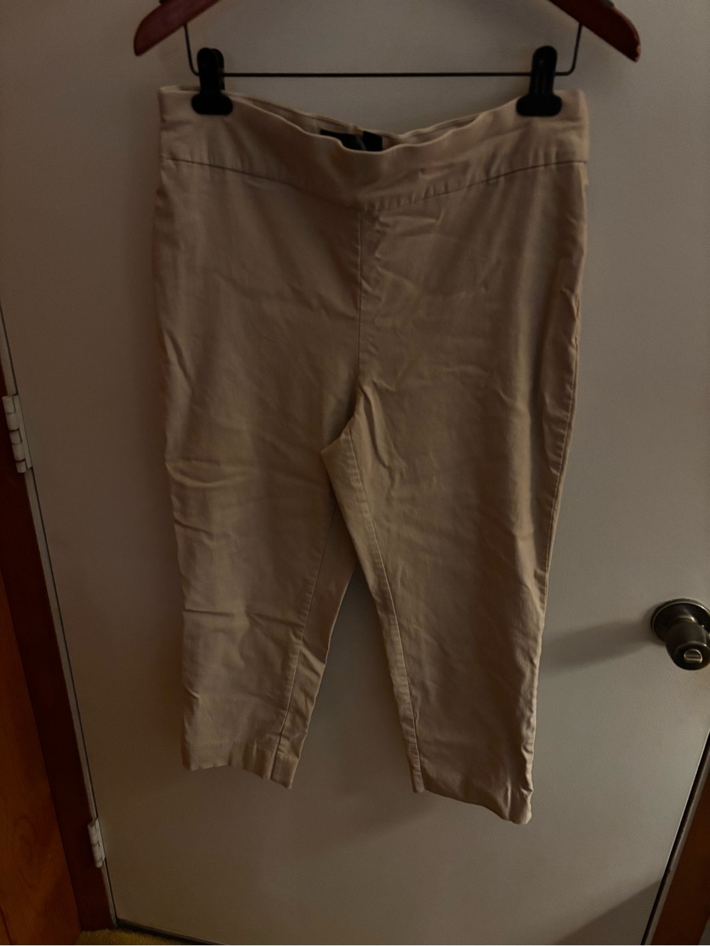Chicos Slim Fit Stretch Pants - Tan